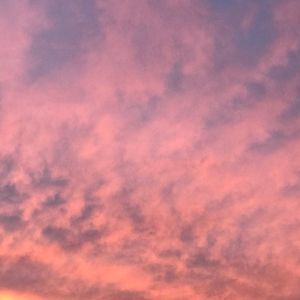 Meet your Posher, Adrian